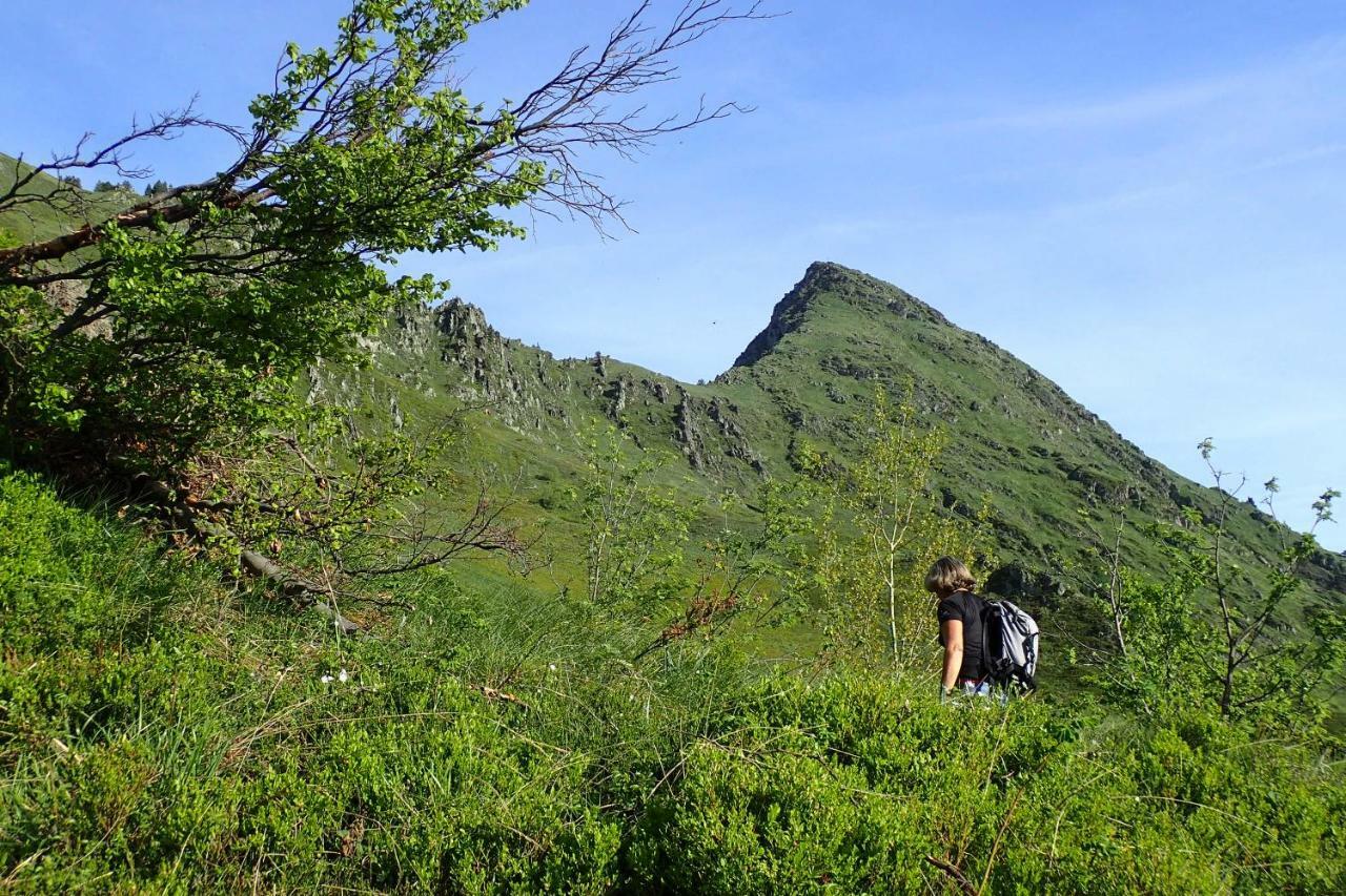 Gite Soum De L'Ase Grust ภายนอก รูปภาพ